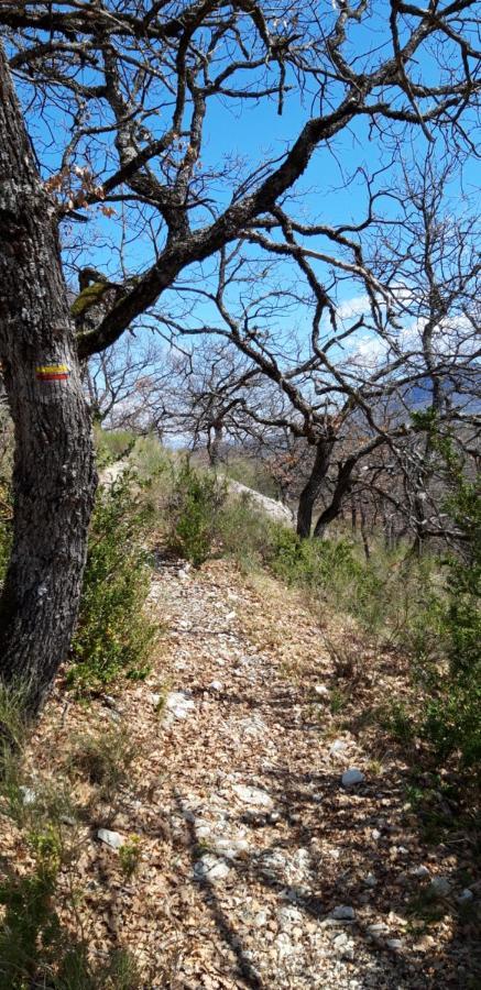 Gites Les Costoliers Chateauneuf-Miravail ภายนอก รูปภาพ